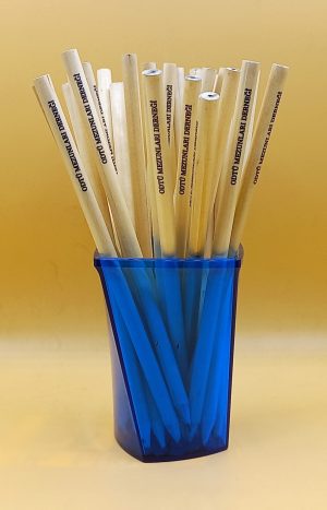 Kurşun Kalem 1 Adet